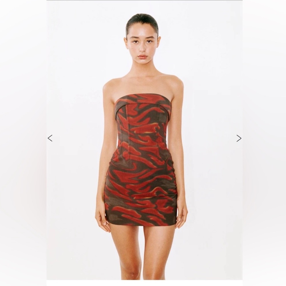 NWOT With Jean Chloe Corset Dress - Nyx - Rose Print - XS